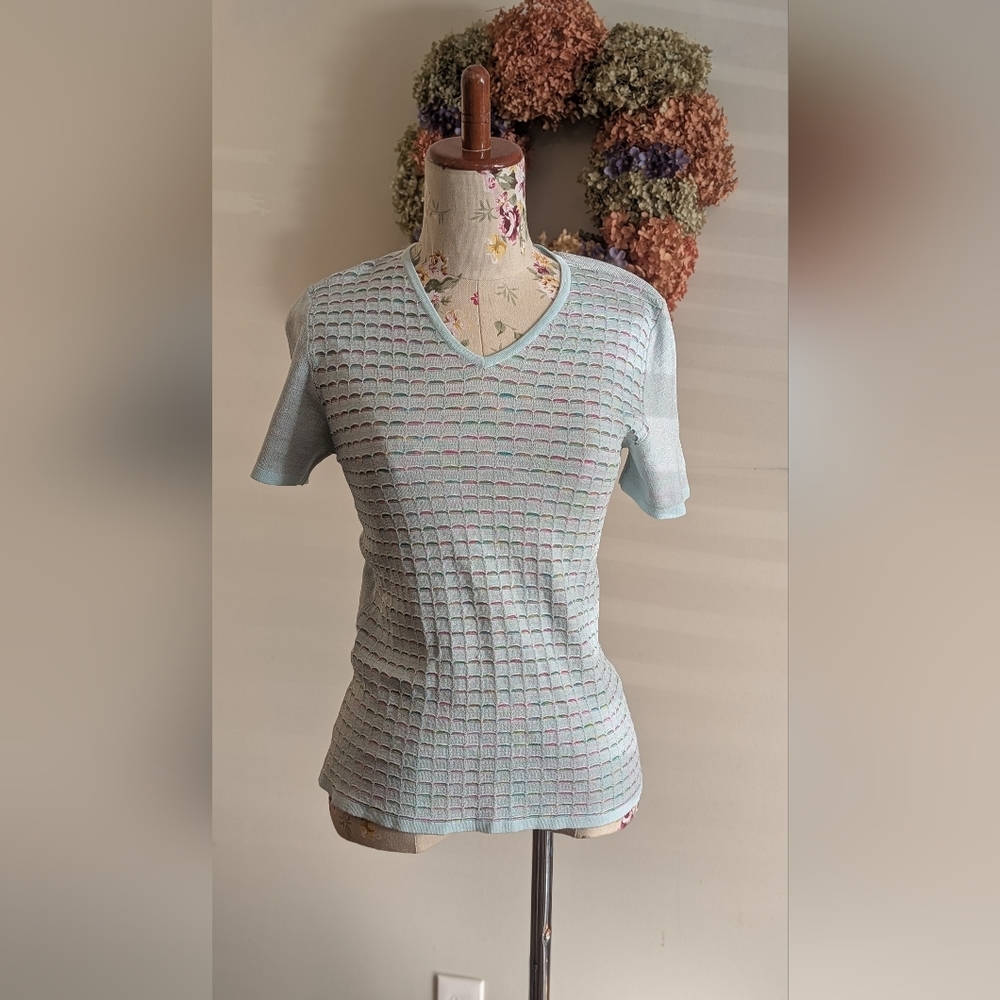 Camela elegant Pastel Blue V-Neck Short Sleeve Top - Picture 2 of 7